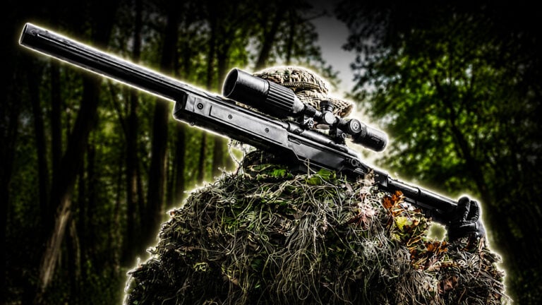 The SSG11