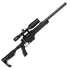 SSG11